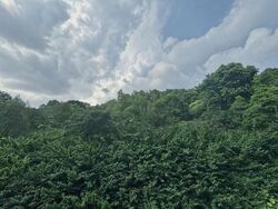 Kent Ridge Hill Residences (D5), Apartment #605292701